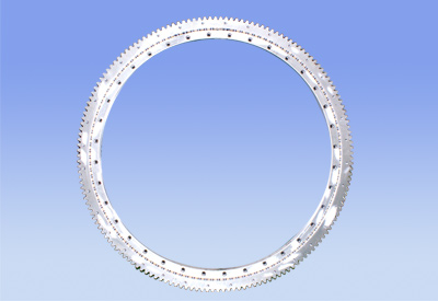 Slewing Bearing